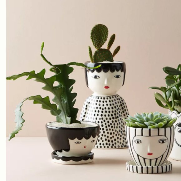Anthropologie Other - New!!!  3pc Face Pot Set
